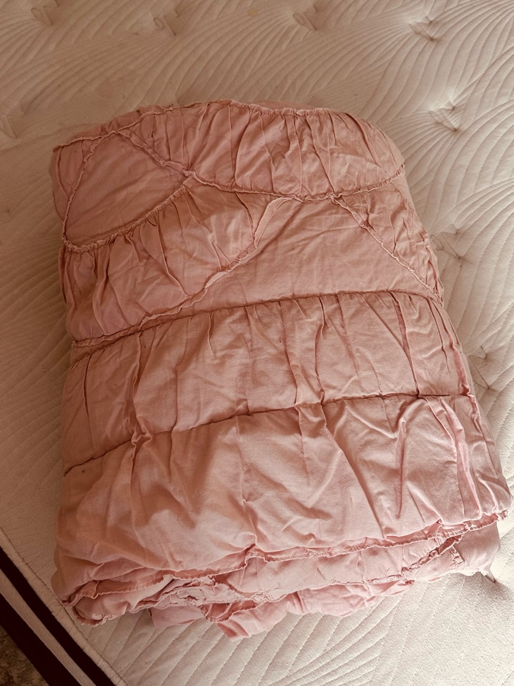 Emily & Merritt for PBteen Blush Pink Ruched Twin Comforter & Sham Set